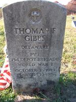 Thomas F Gibbs