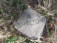 Shelton plot marker