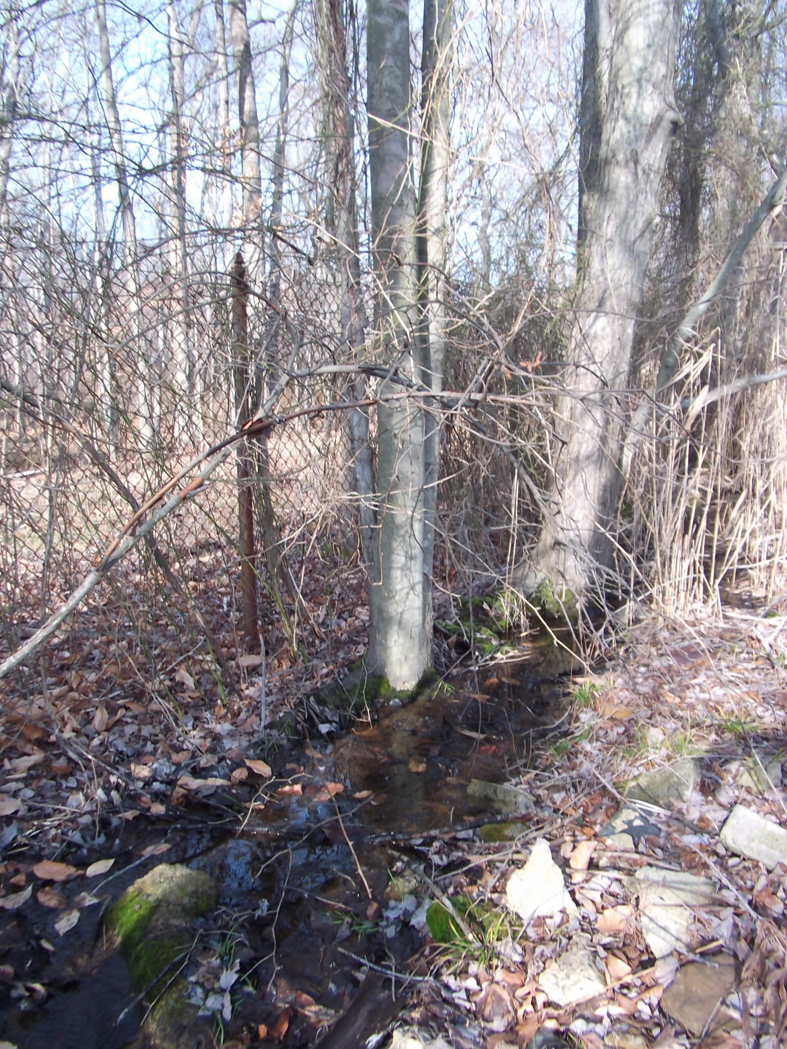 Stream along fence