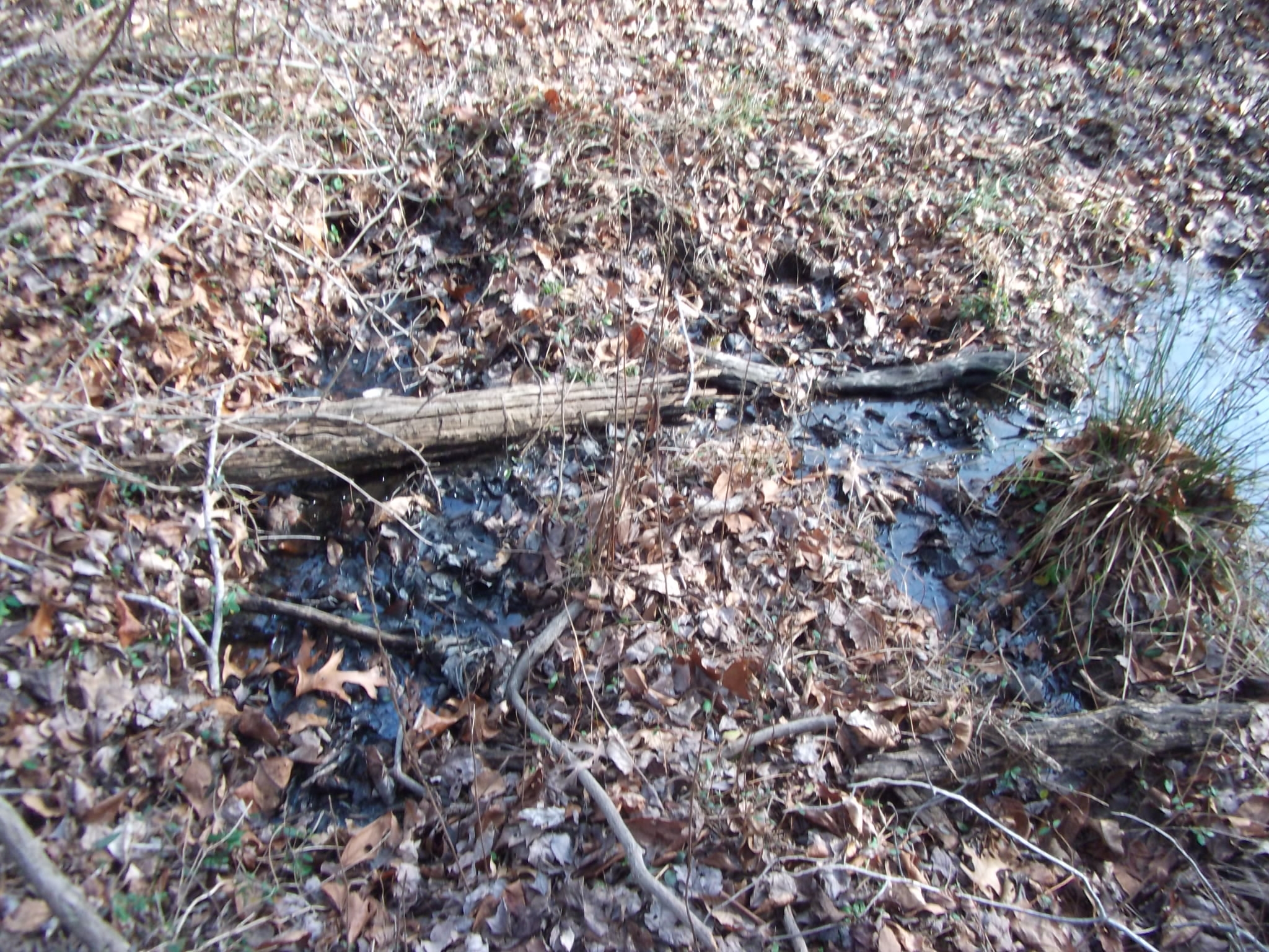 Unmarked Burials NW Fence Line